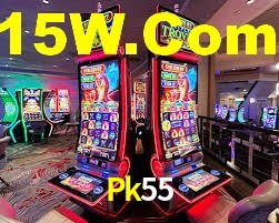 Premium Interface Pk55