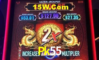Pk55 - Support